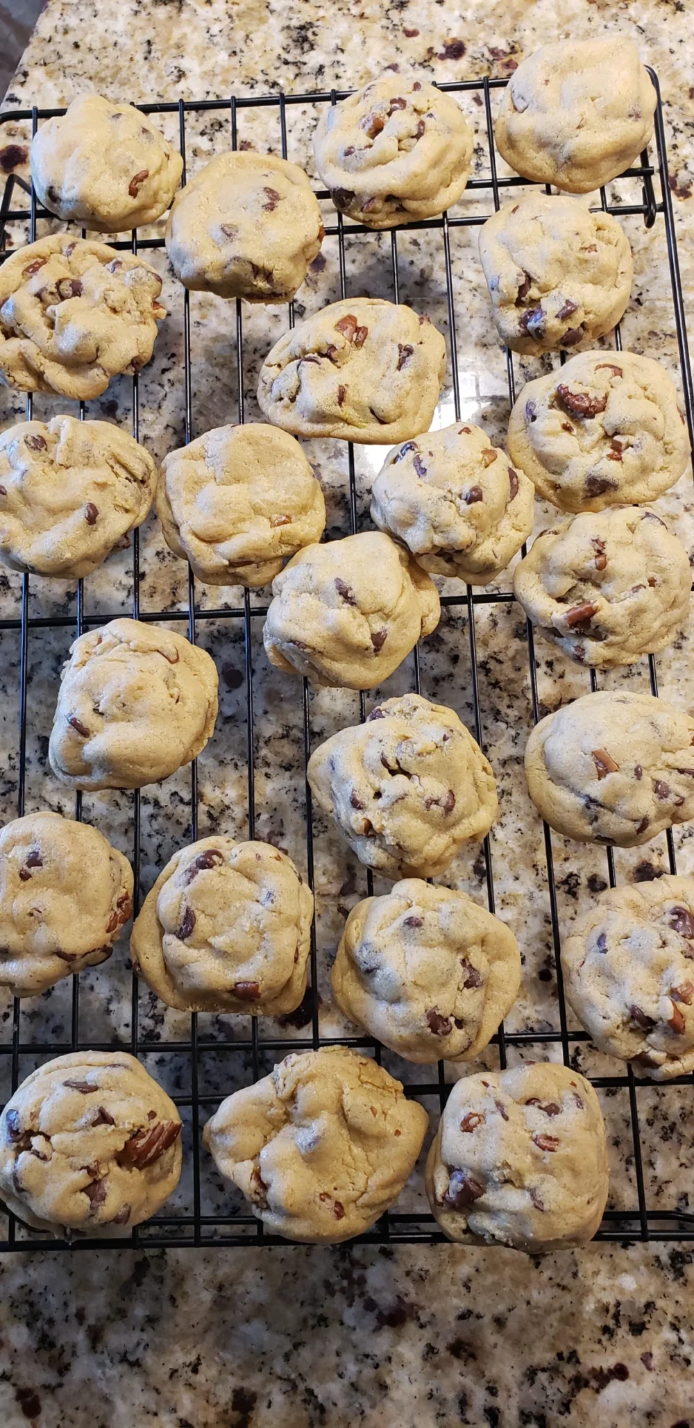 Chocolate chip (per dozen)