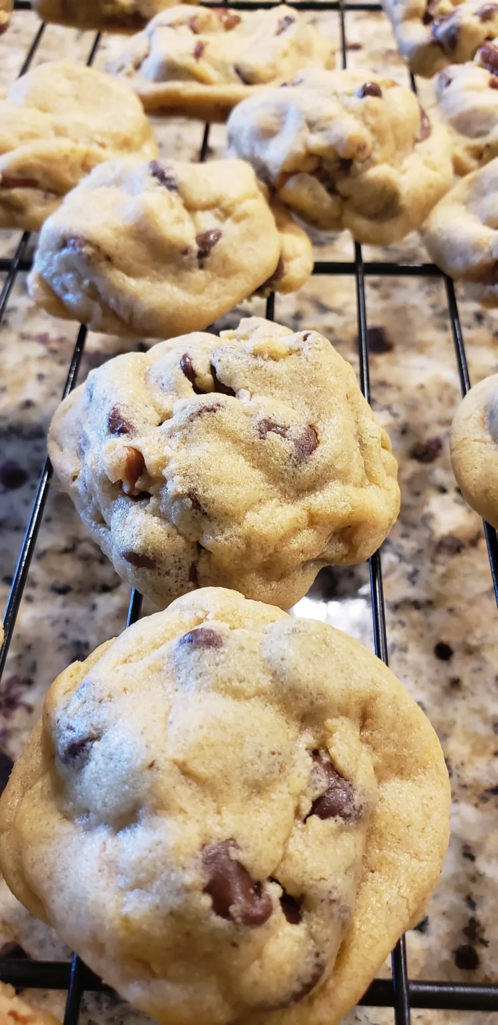 Chocolate chip (per dozen) - Image 3