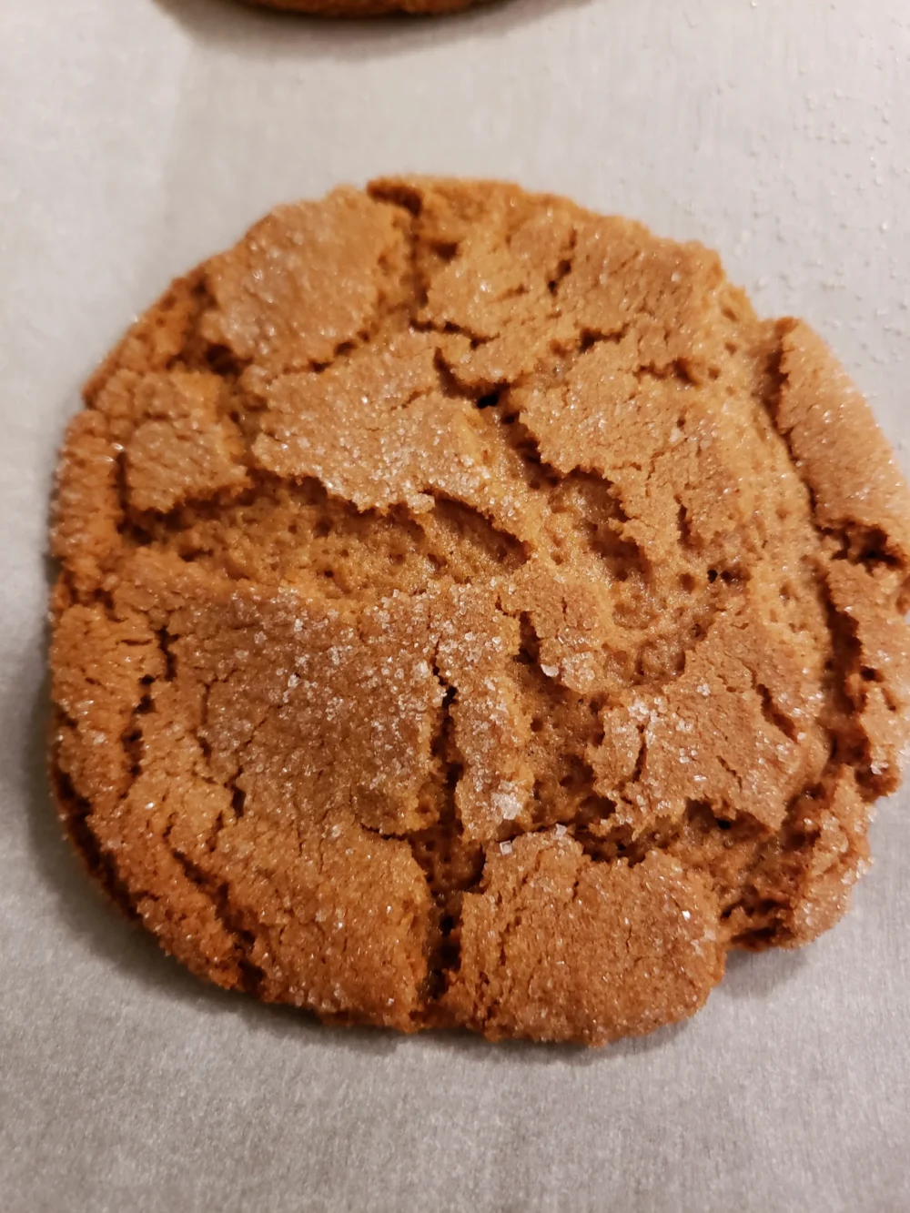 Ginger Snaps (per dozen) - Image 2